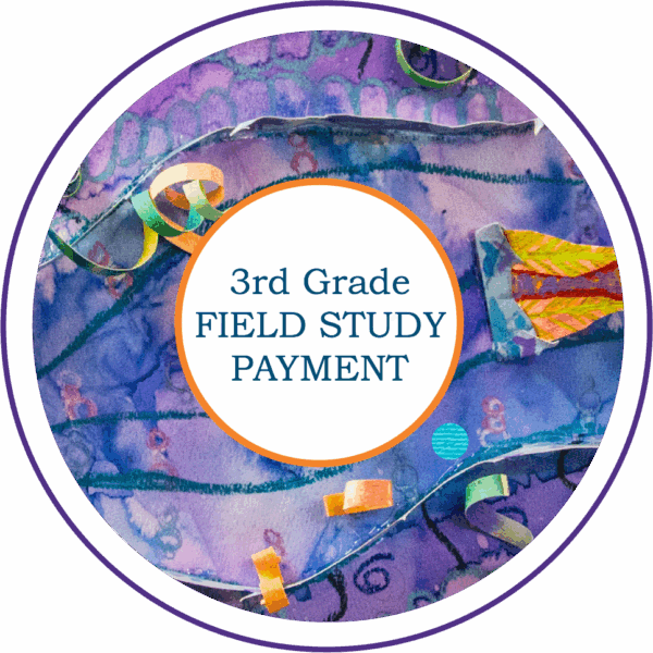 3rd grade FIELD STUDY
